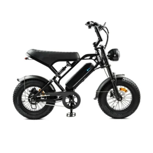 Fatbike V20 Pro Mini